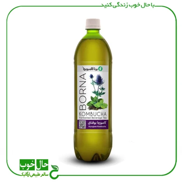 کامبوچا بوقناق برنا ـ 1 لیتر
