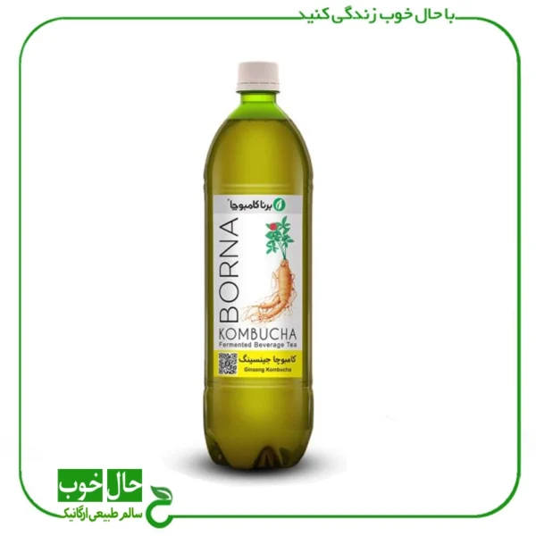 کامبوچا جینسینگ برنا ـ 1 لیتر