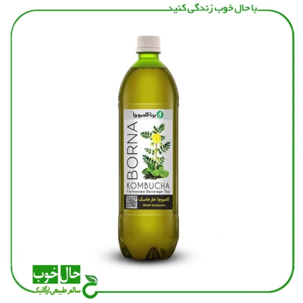 کامبوچا خارخسک برنا ـ 1 لیتر