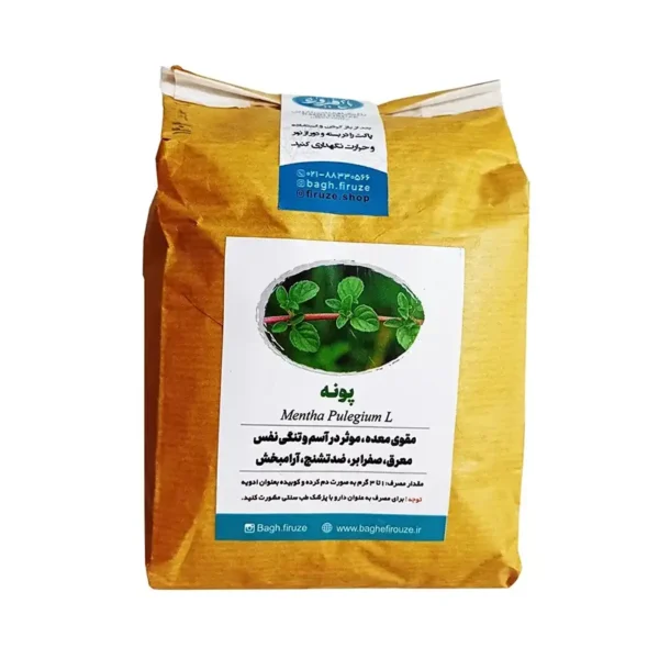 پونه باغ فیروزه