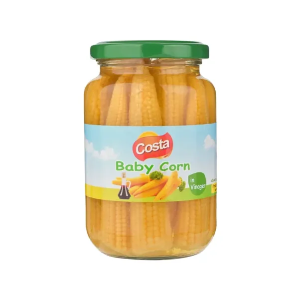 کاستا ذرت بیبی سیر سرکه 390 گرم